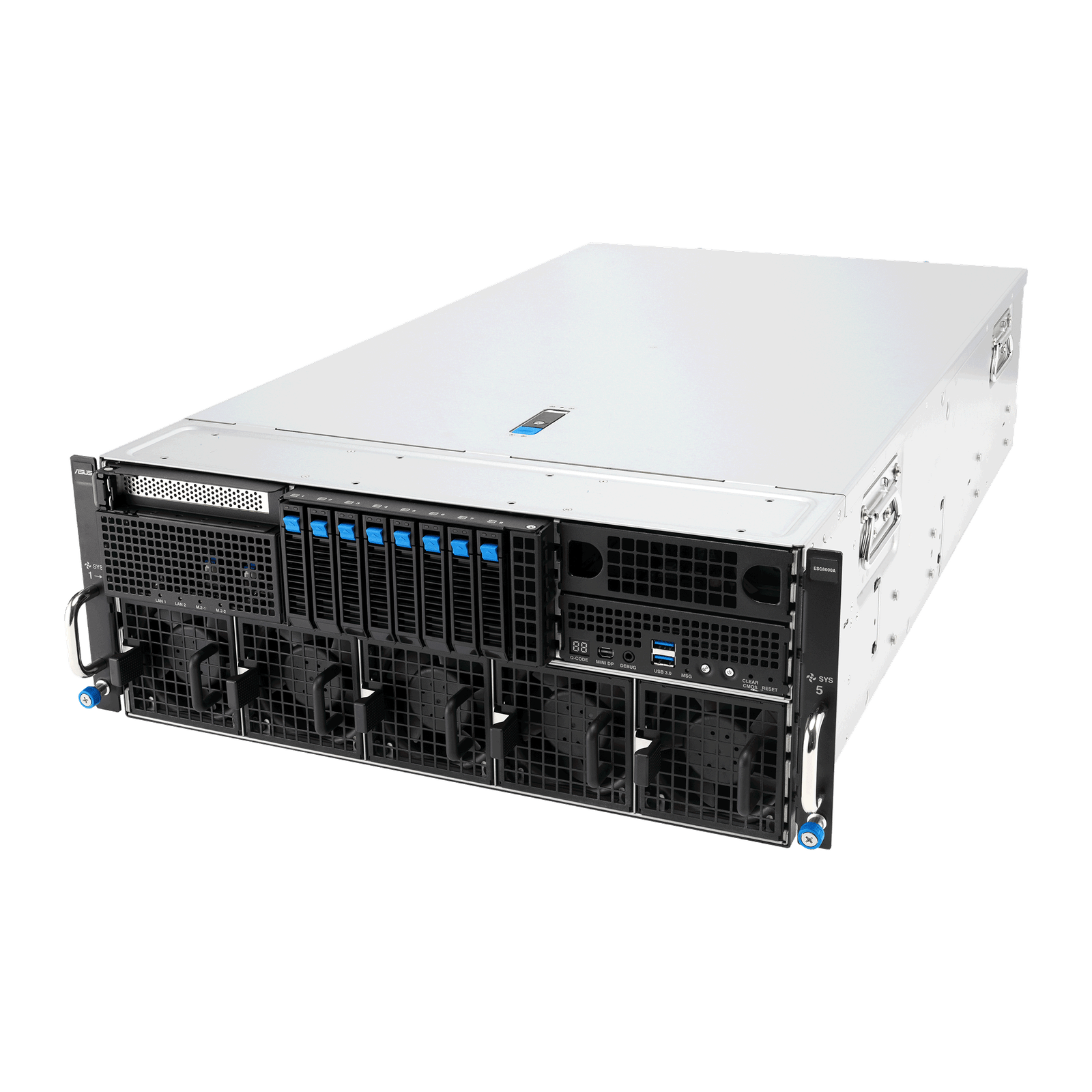 Review Asus ESC8000-E12